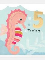 5 Today Seahorse