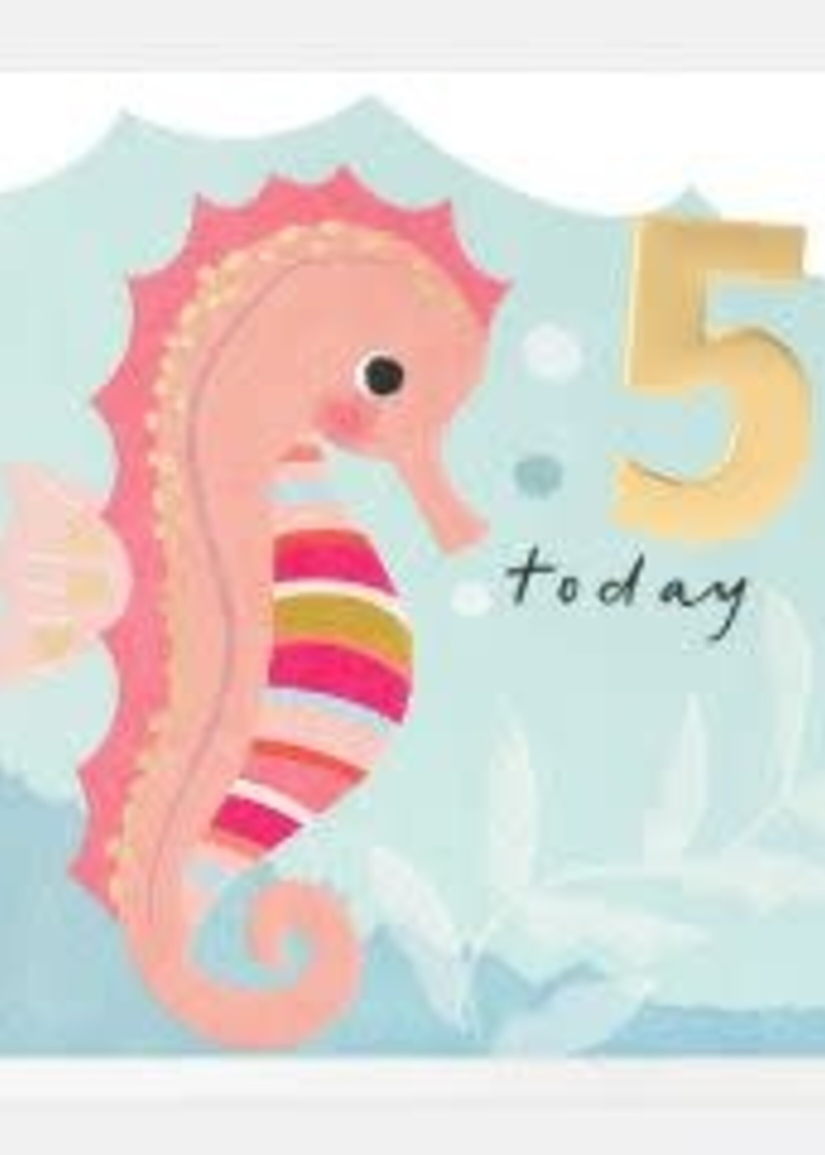 5 Today Seahorse