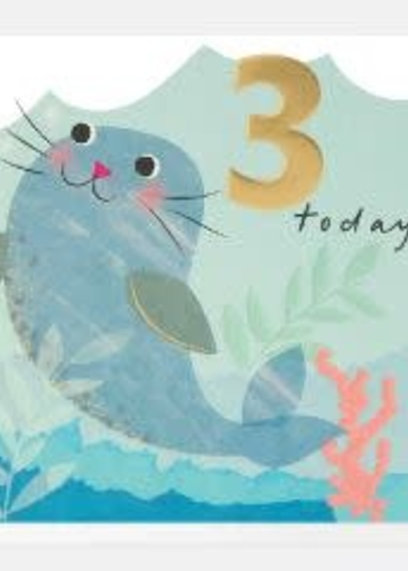3 Today Seal