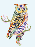 museums & galleries Owl