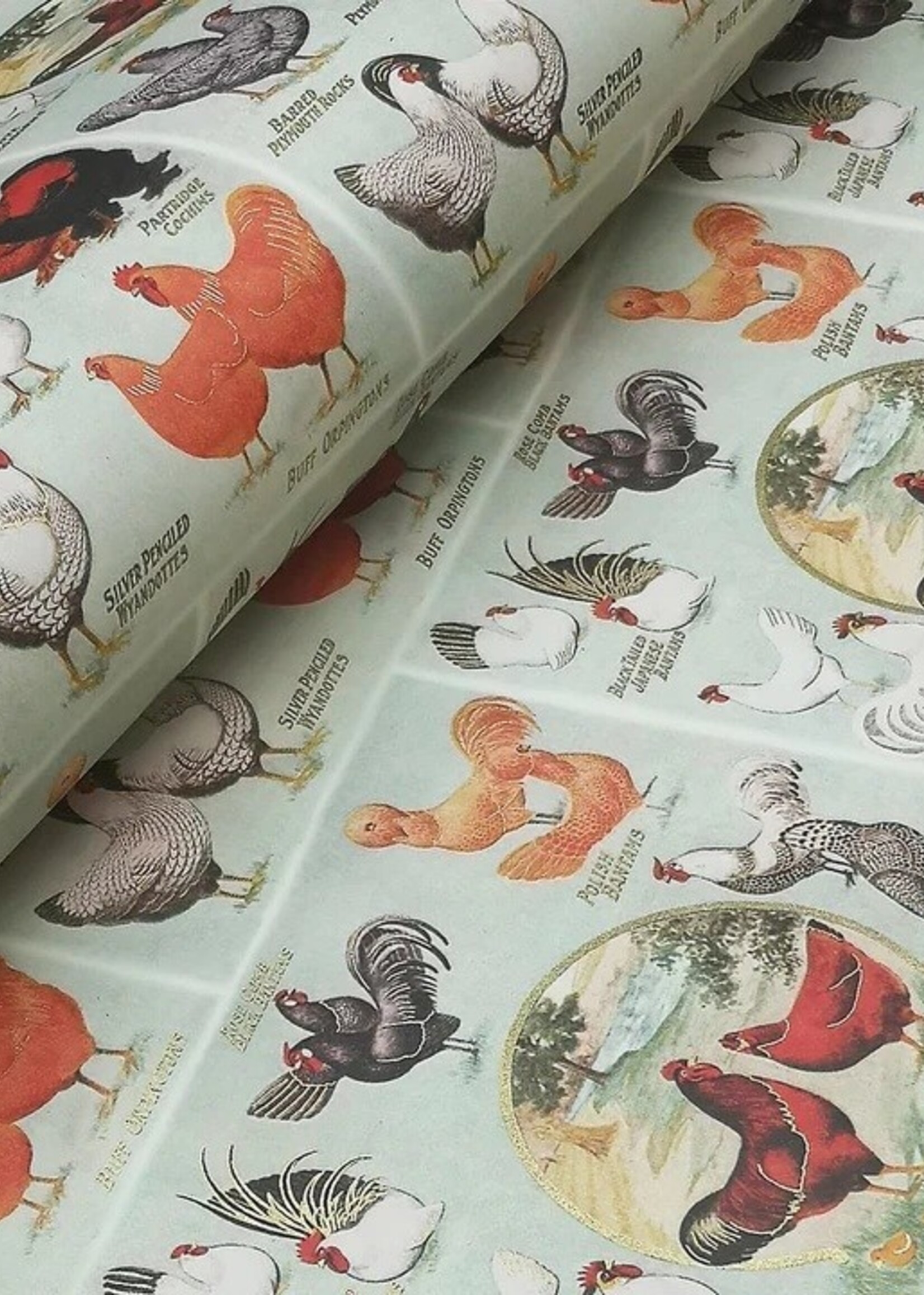 Rossi Sheet Wrap ~ Chickens