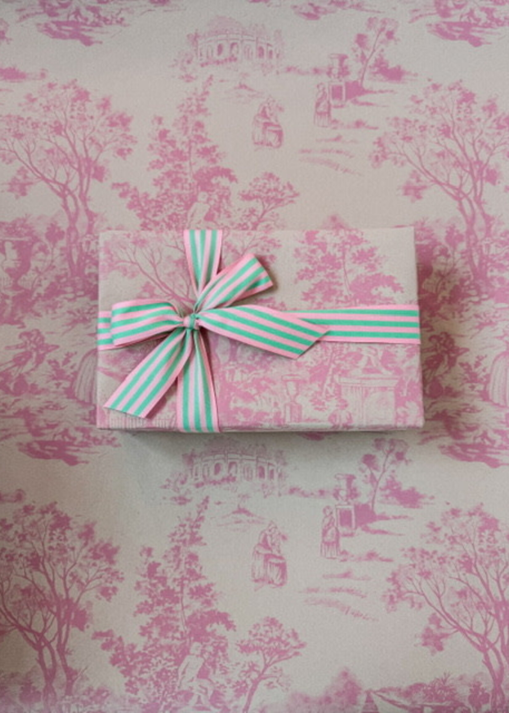 Striped Ribbon - 3m (Mint/Pink)