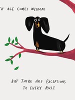 With age comes wisdom