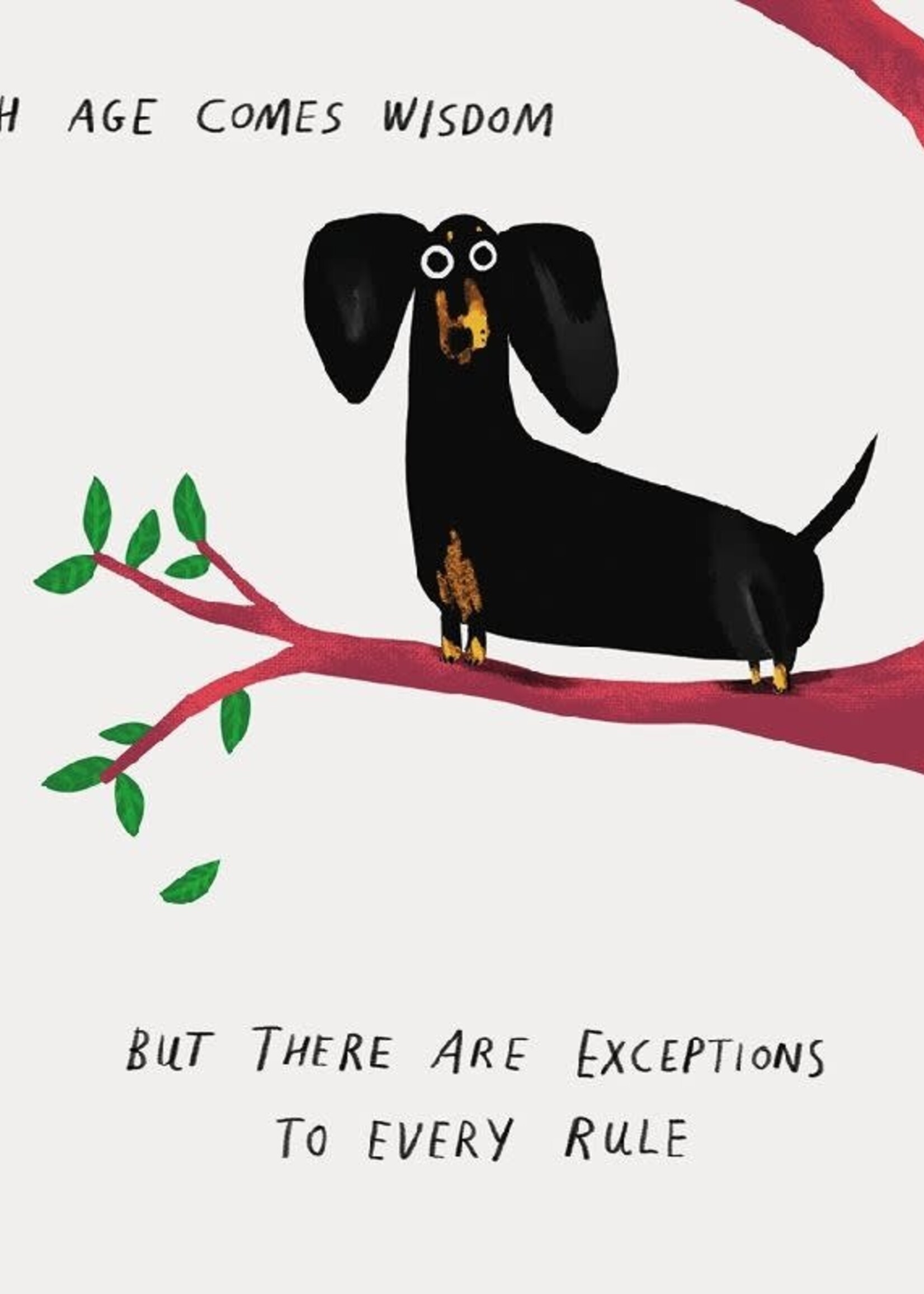 With age comes wisdom