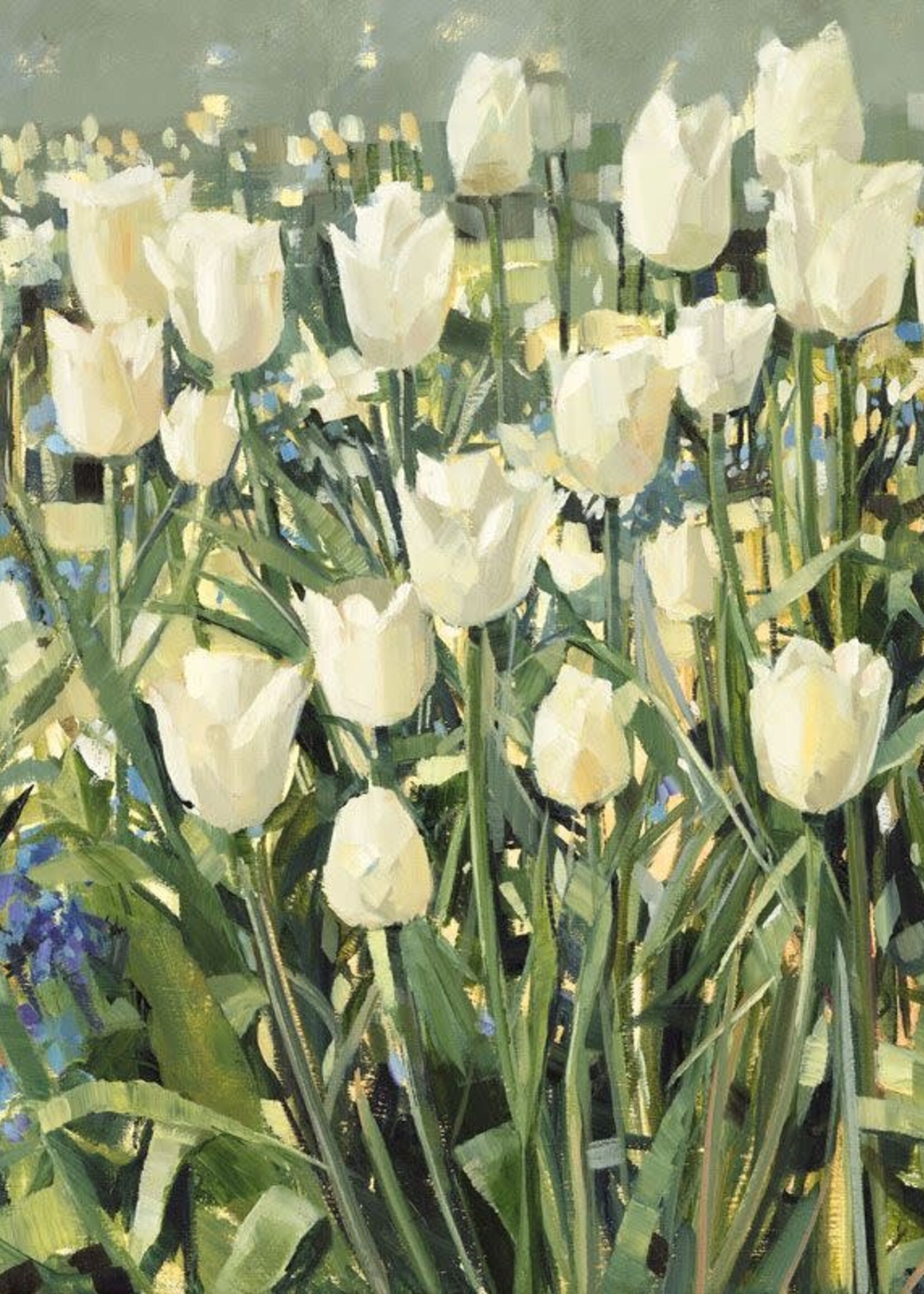 White Tulip Garden