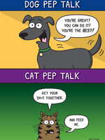Dog Cat Pep Talks