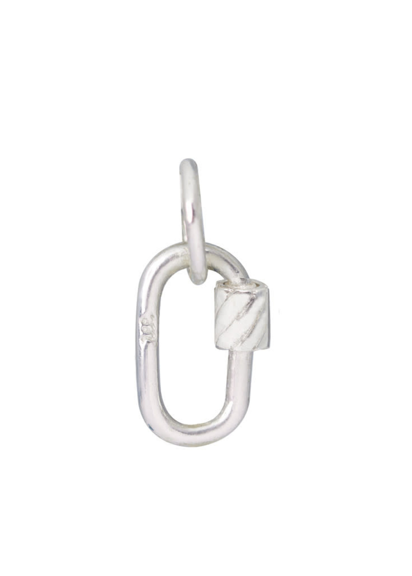 Silver Carabiner Charm - Swirl Nut