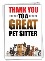 Thank you to a great pet sitter