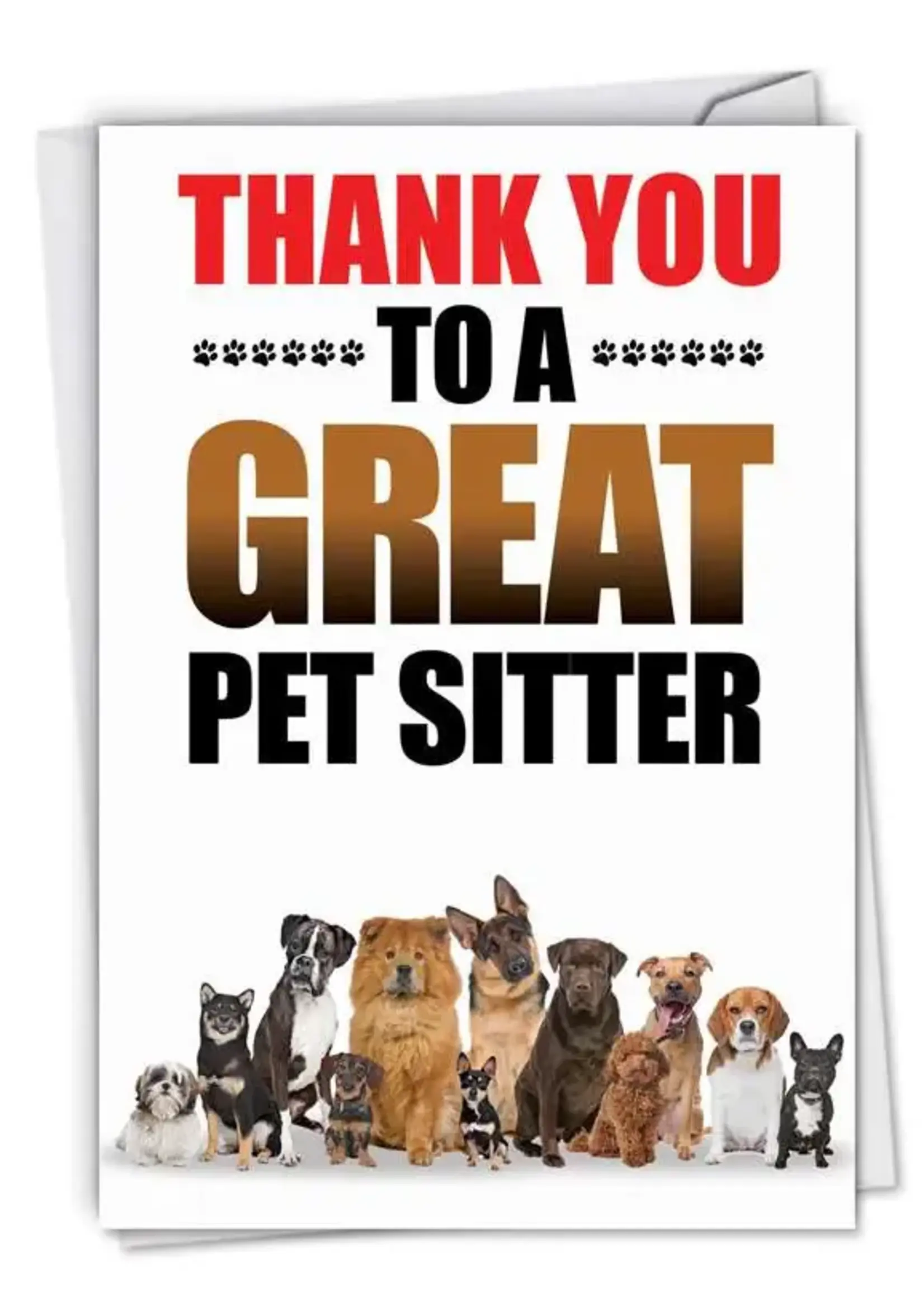 Thank you to a great pet sitter