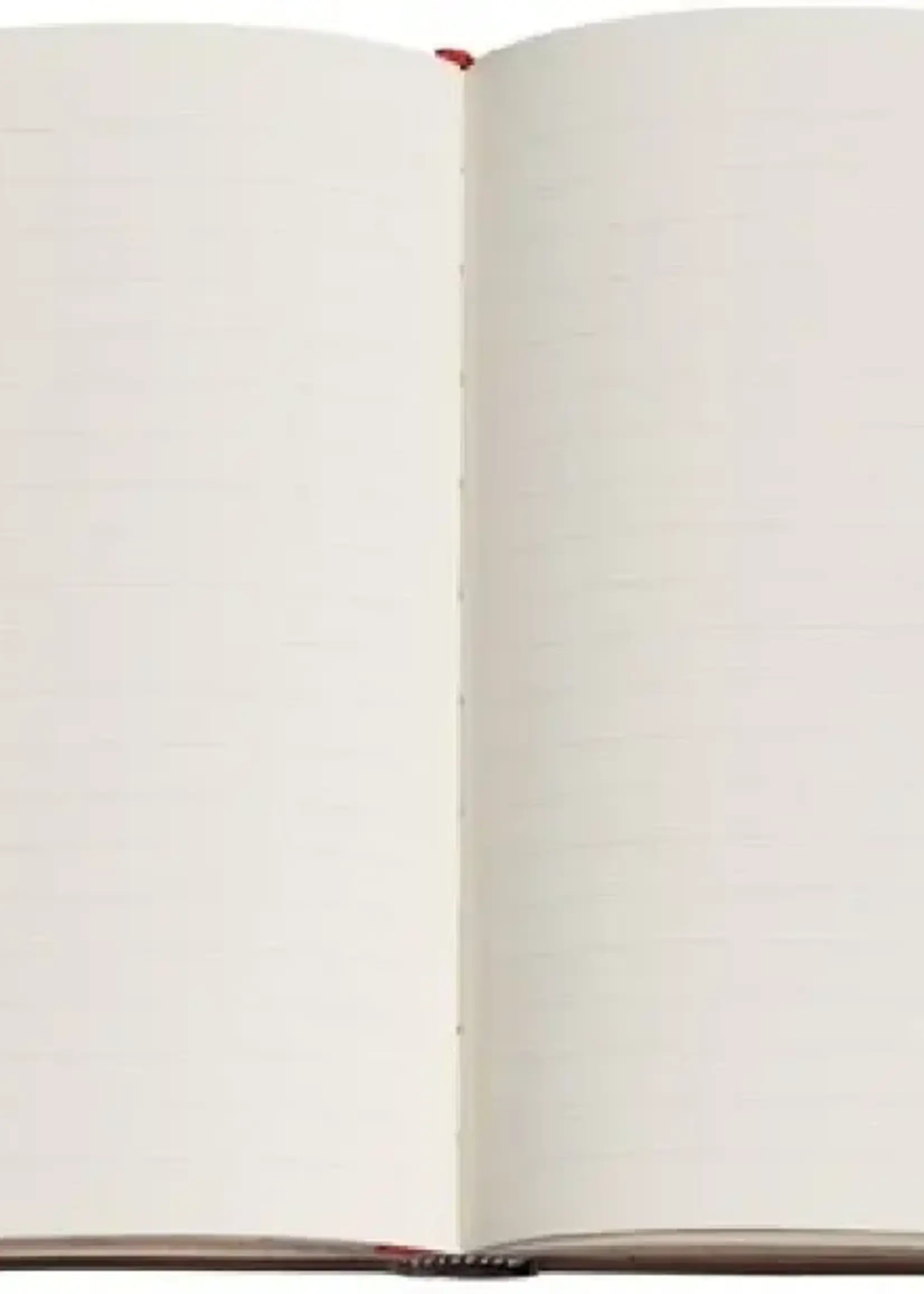 Paperblanks New York Rose Midi Lined Softcover Journal  (Gilded Age)