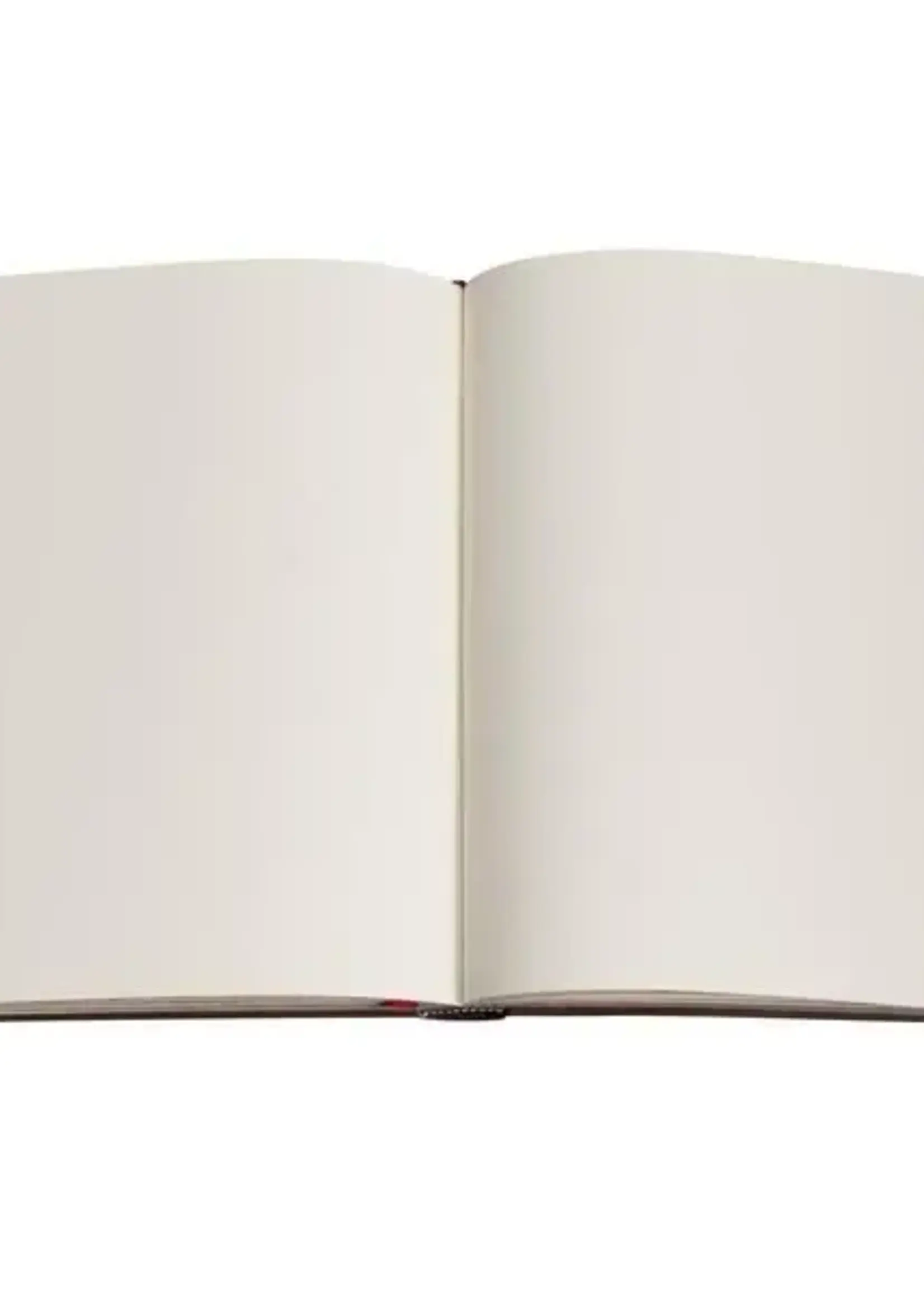 Paperblanks Midi Unlined Softcover Journal by Paperblanks (Gilded Age)