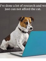 I've done a lot of research