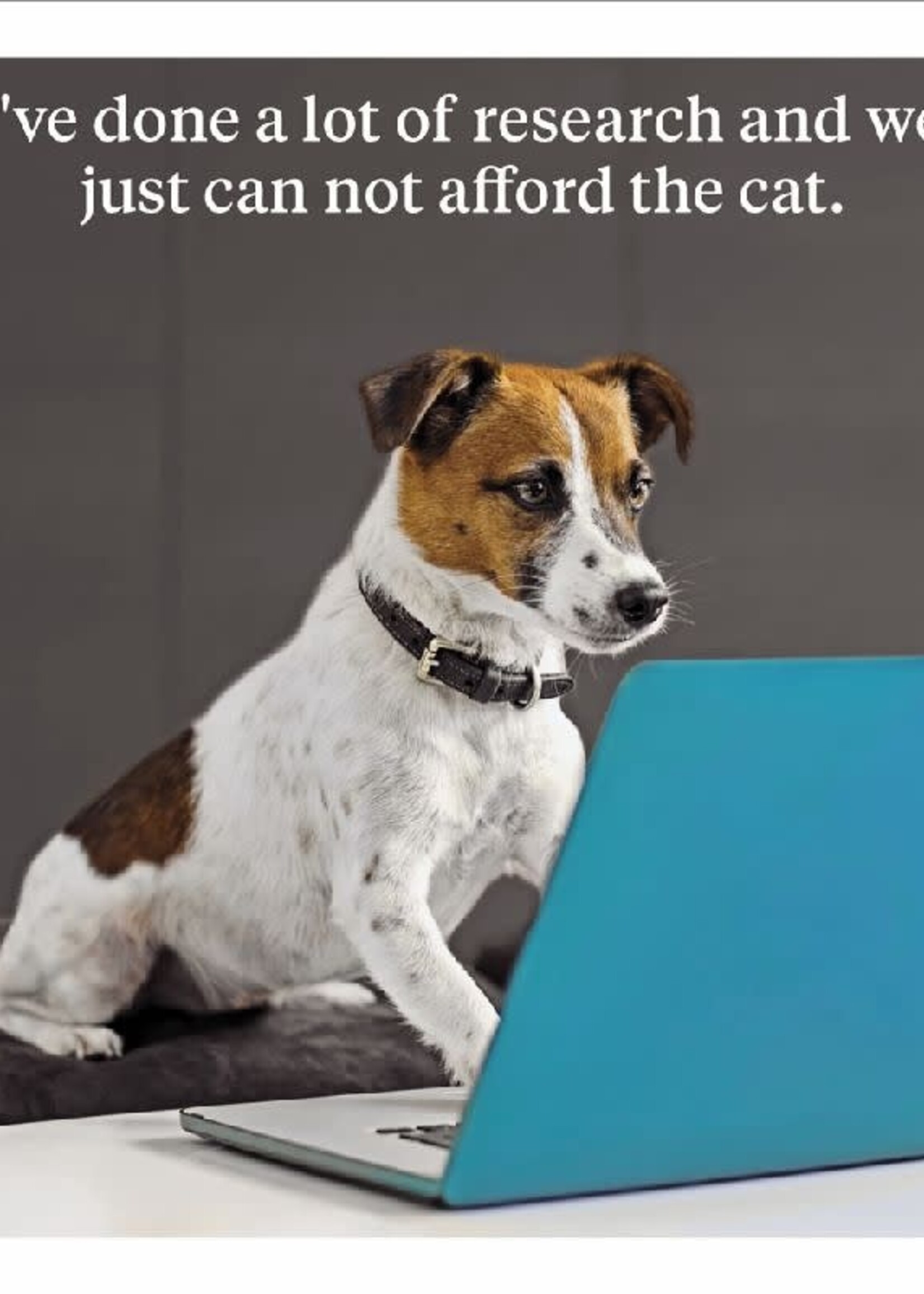 I've done a lot of research