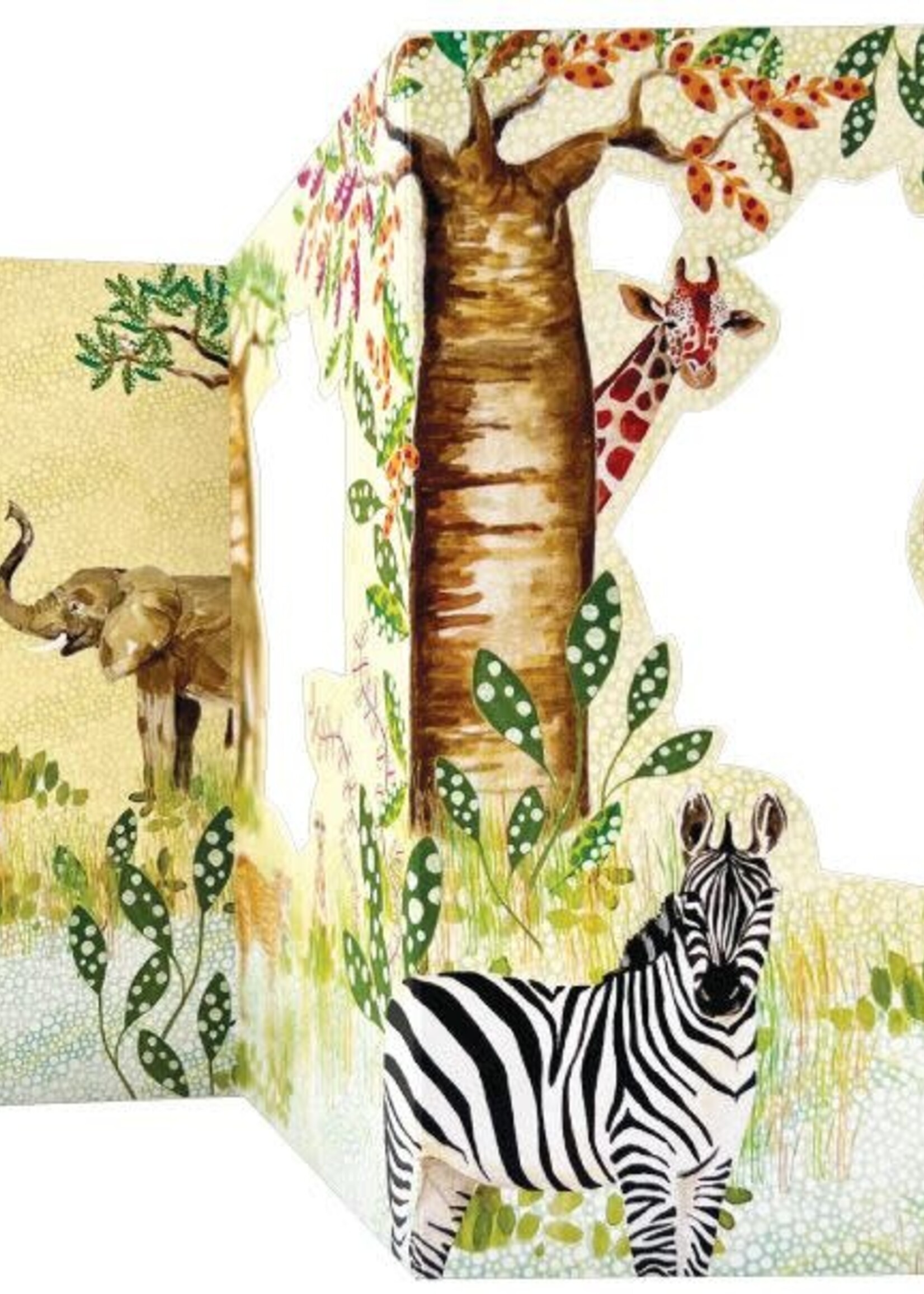 Fold-out card - Safari