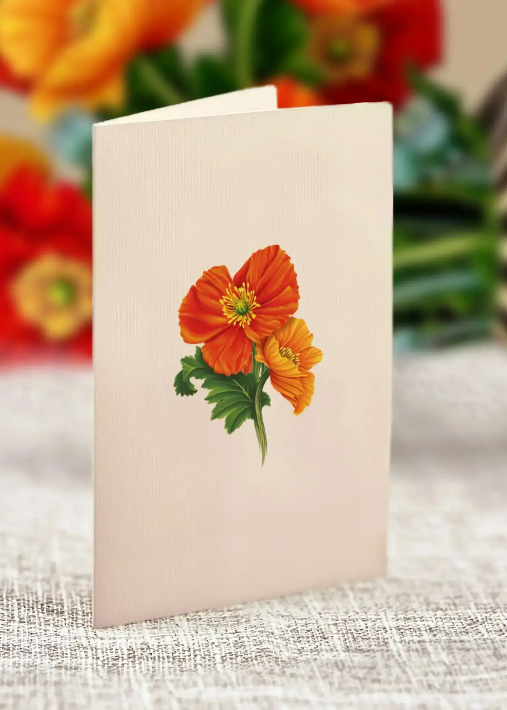 Fresh Cut Flowers Mini Pop-Up Card - French Poppies