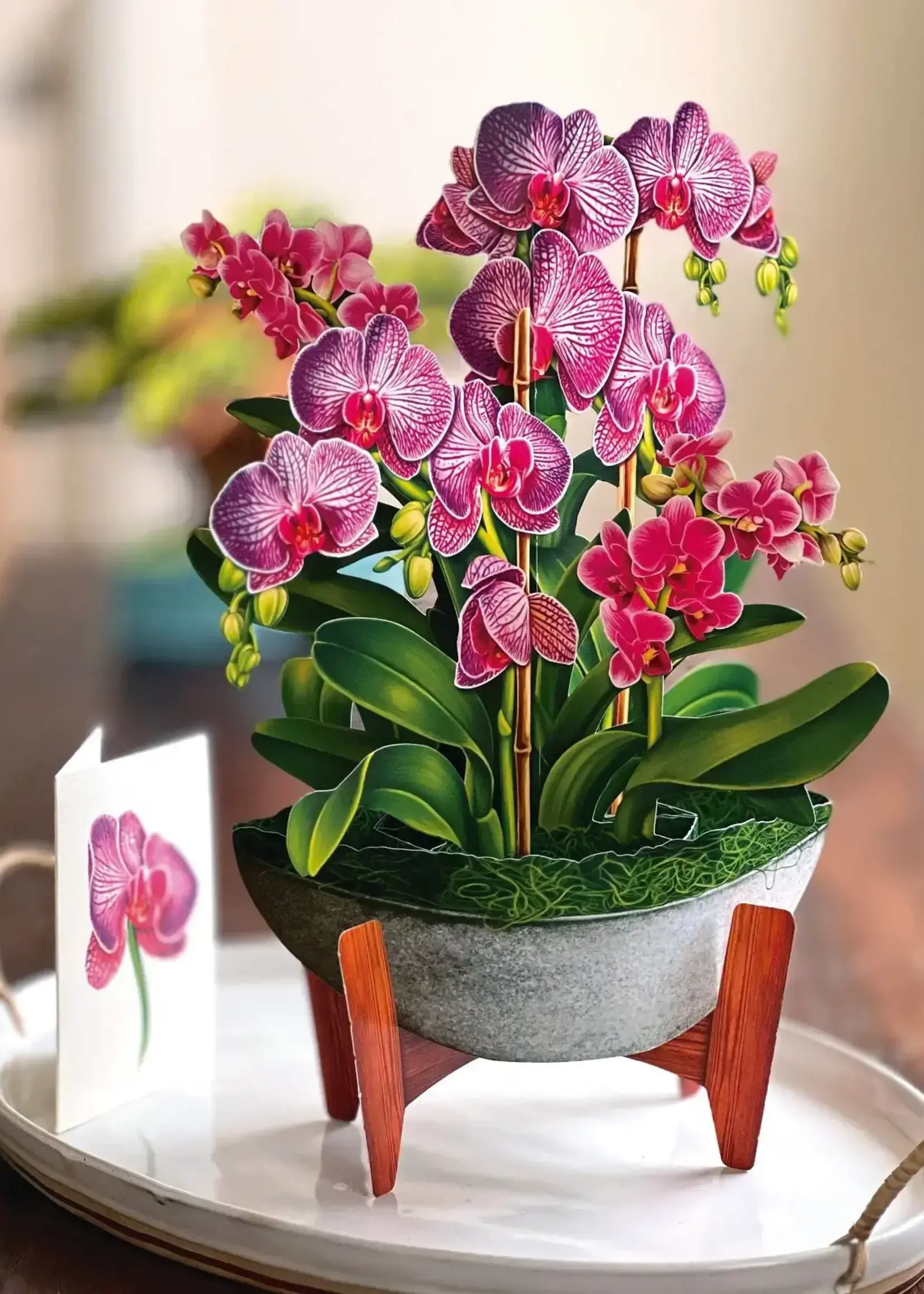 Fresh Cut Flowers Mini Pop-Up Cards - Orchid Oasis