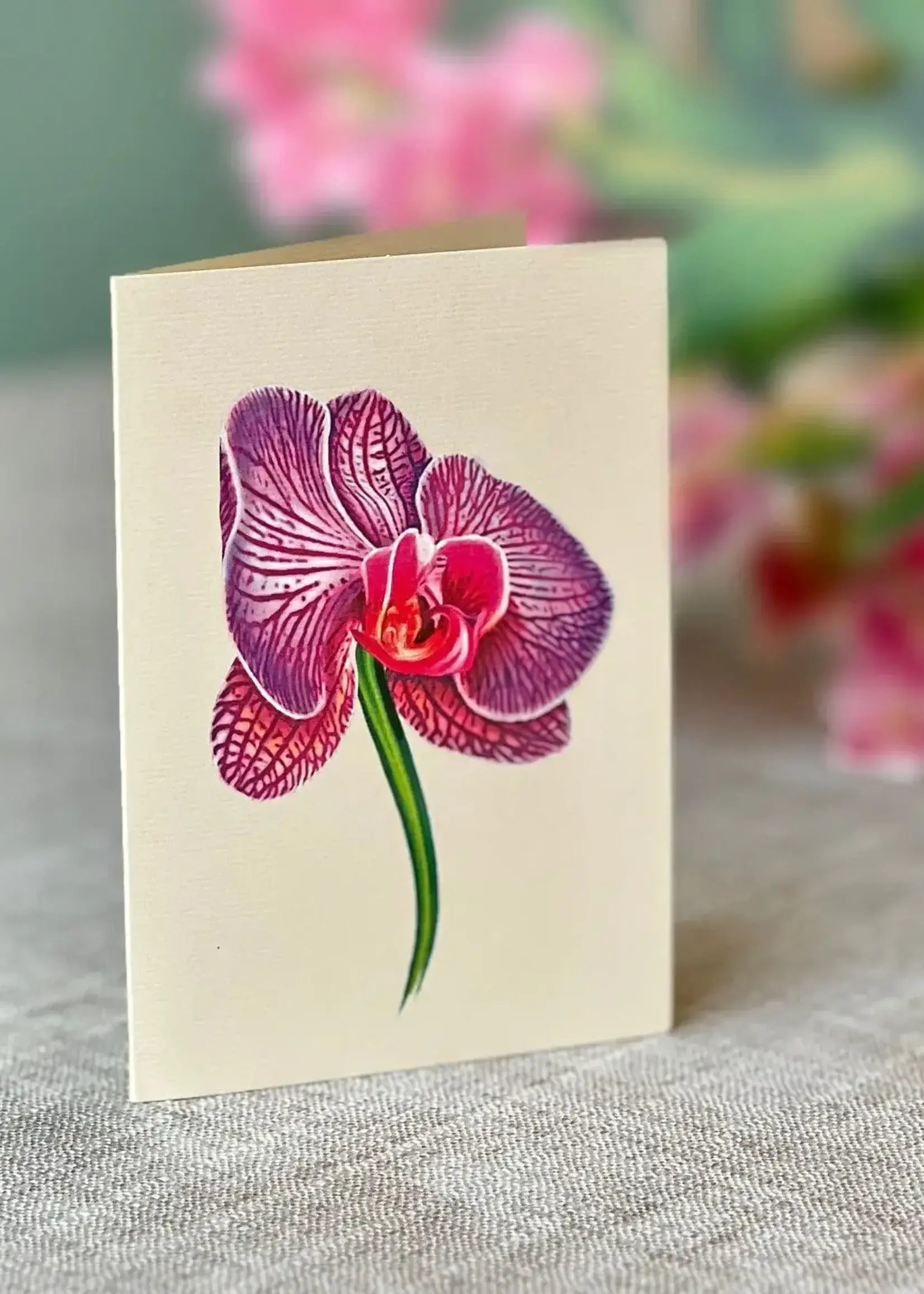 Fresh Cut Flowers Mini Pop-Up Cards - Orchid Oasis