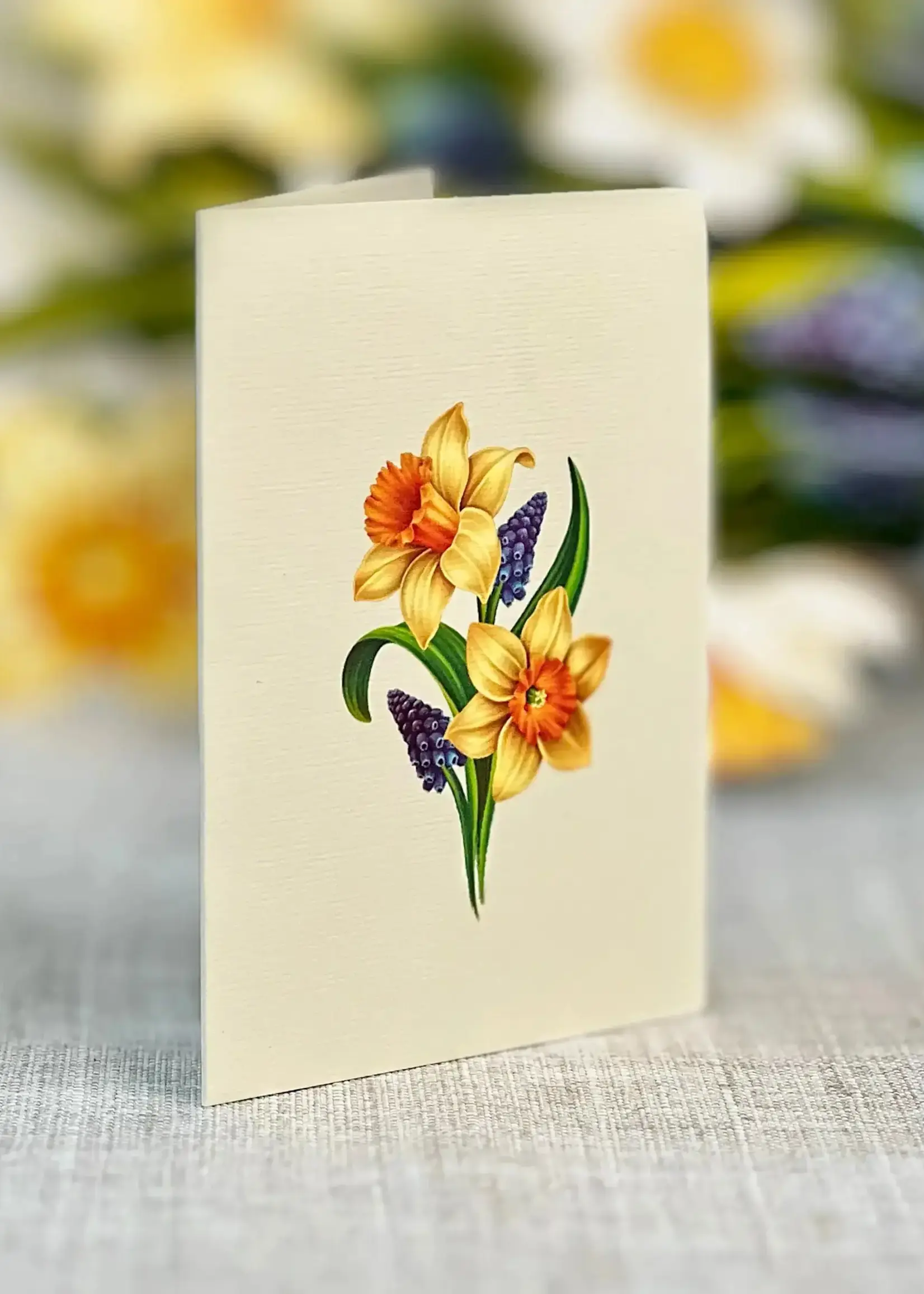 Fresh Cut Flowers Mini Pop-Up Card - English Daffodil