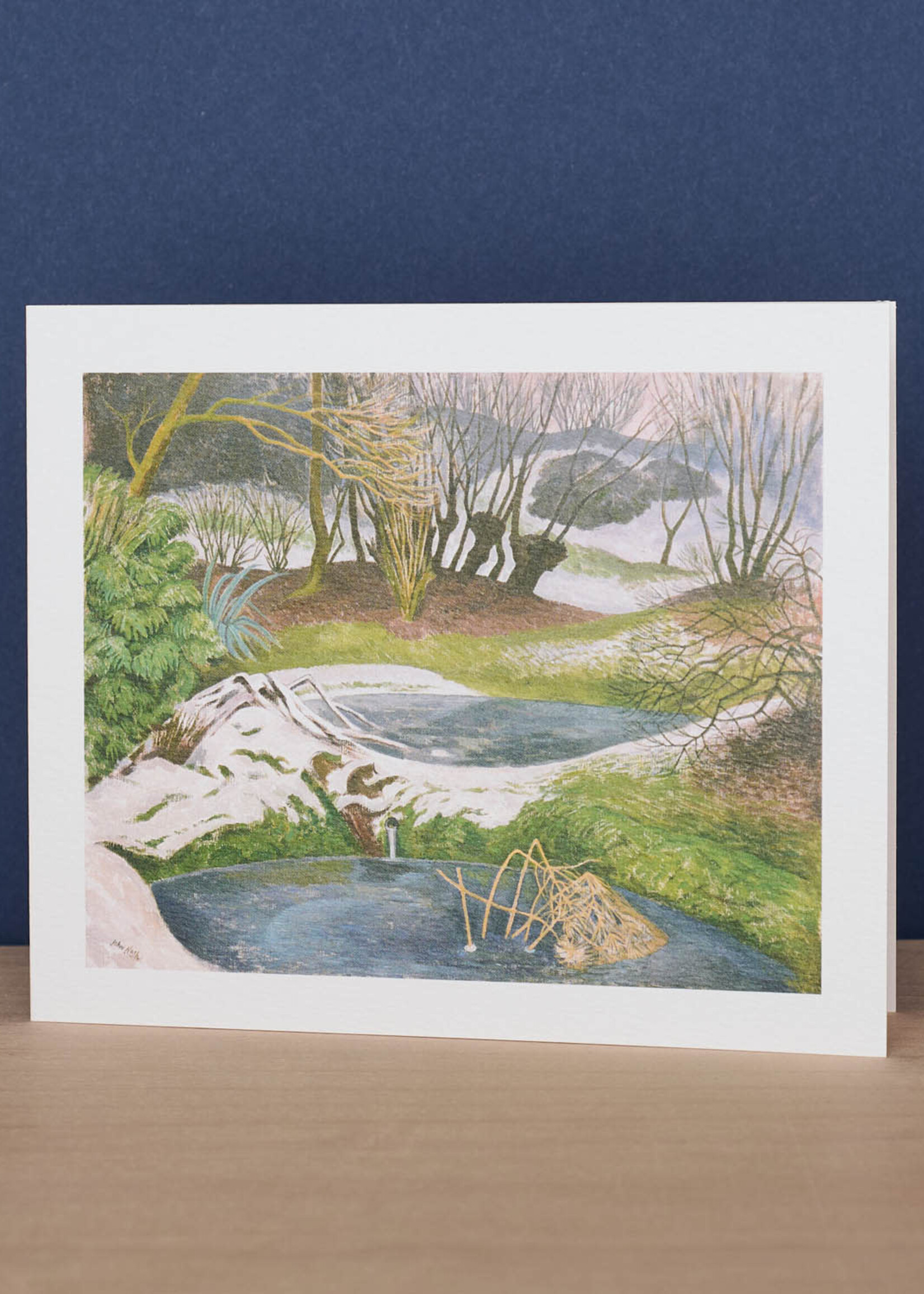 Frozen Ponds