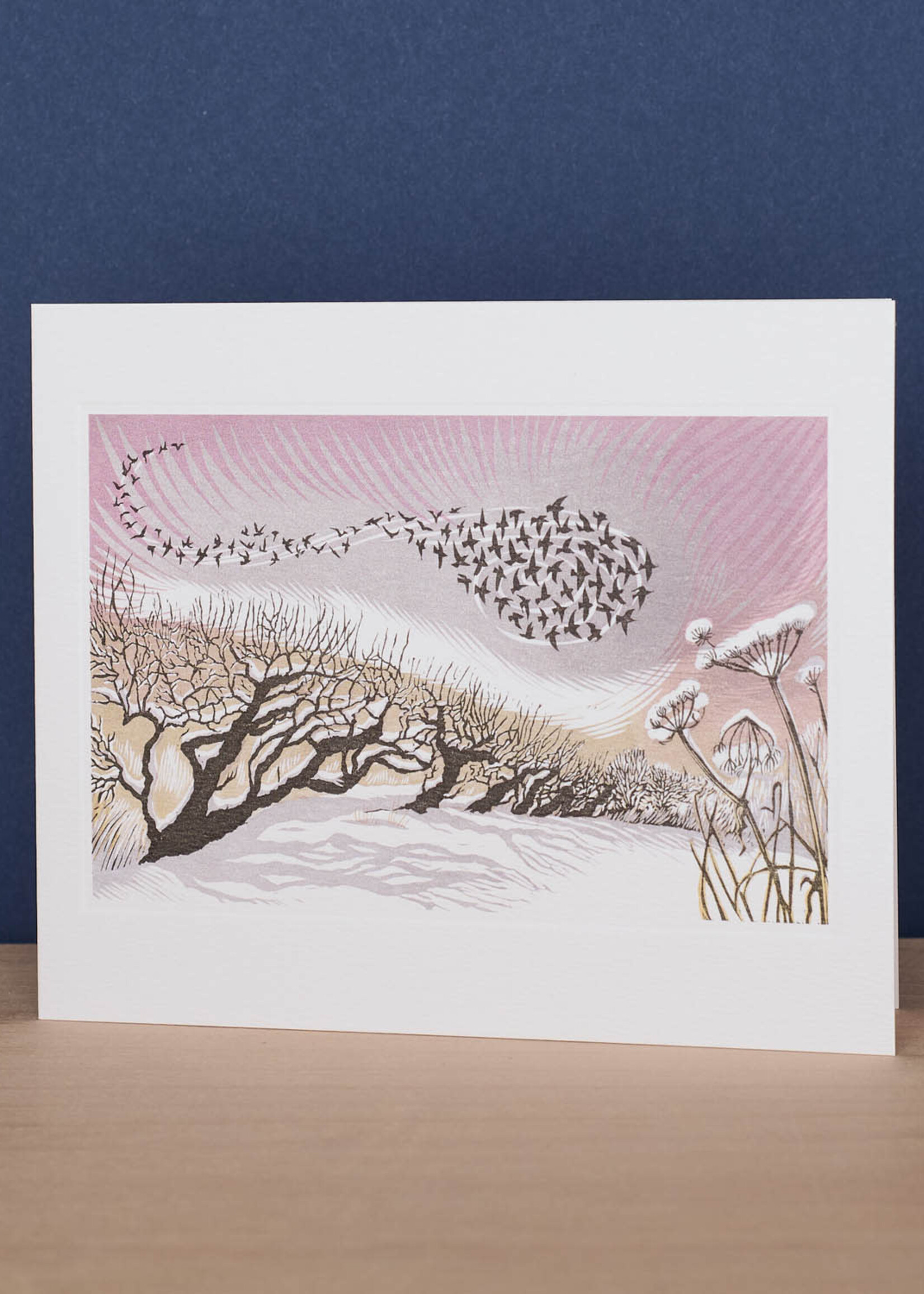 Midwinter Starlings