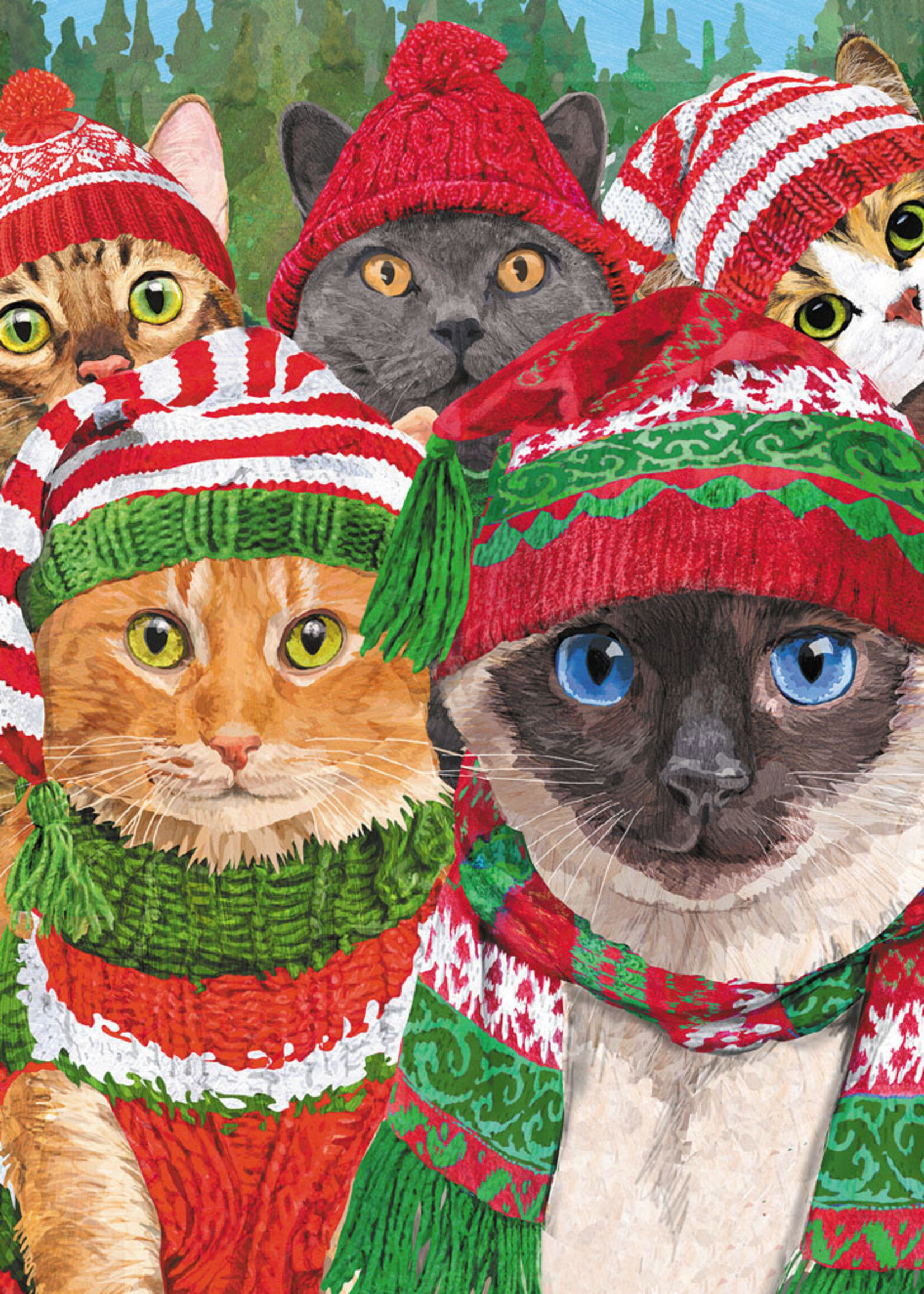 Cats Usie