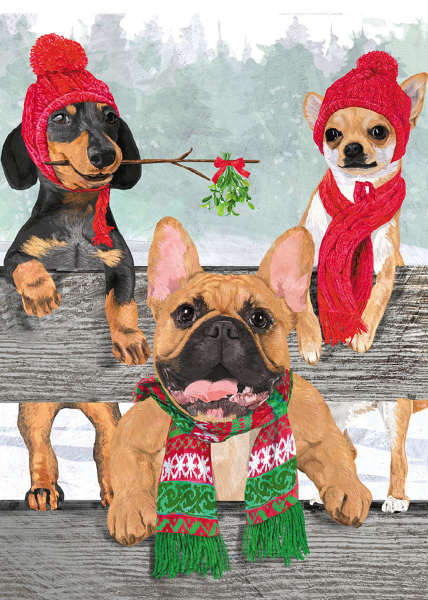 Winter Woofs