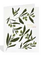 Many Thanks - Olive Branch