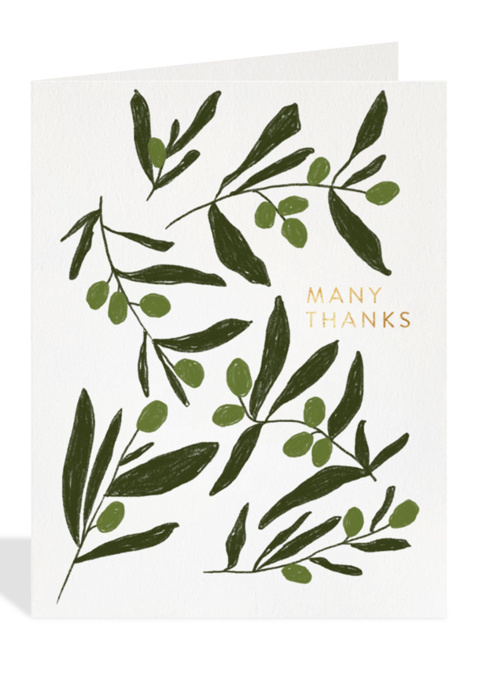Many Thanks - Olive Branch