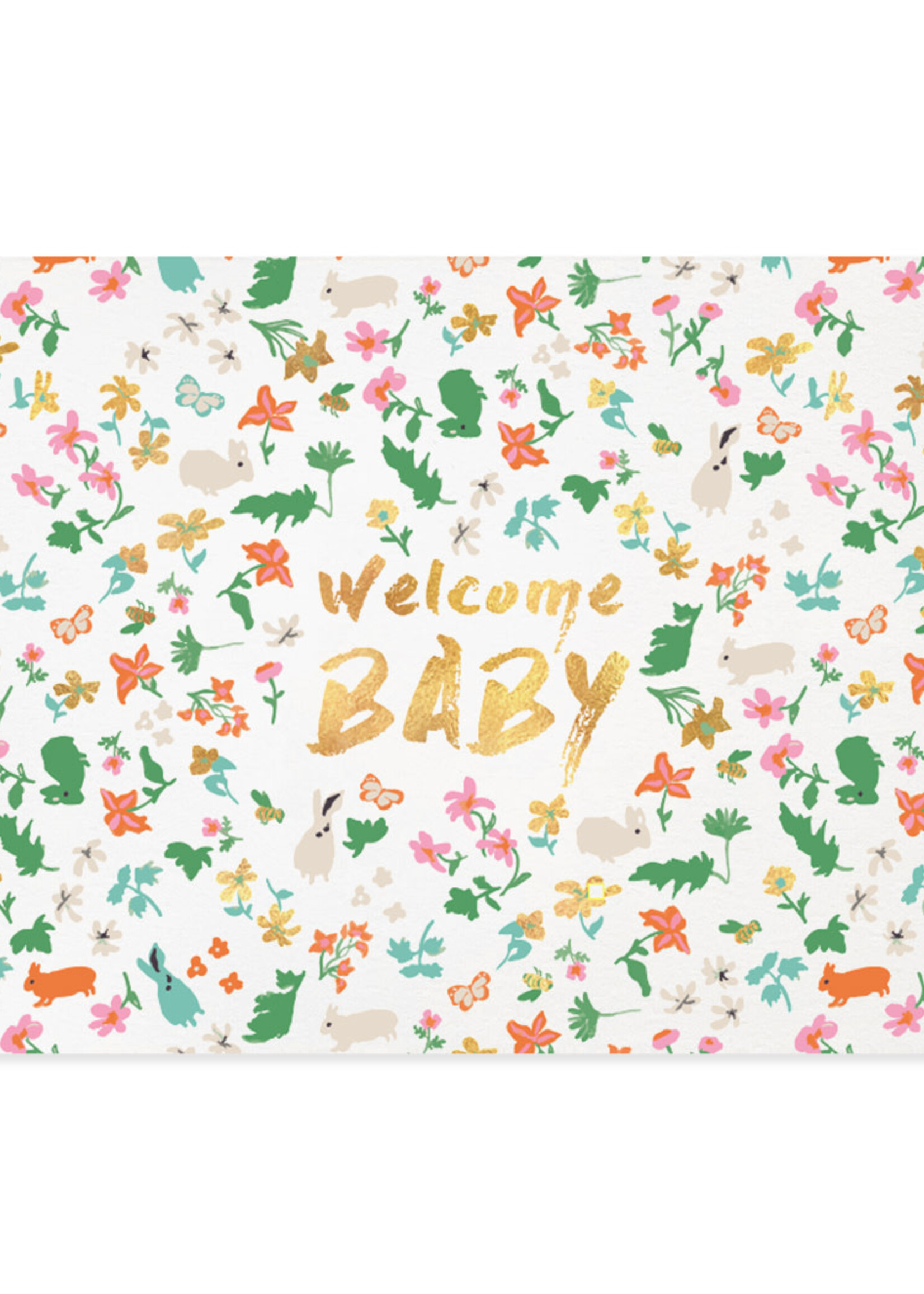 Welcome Baby!