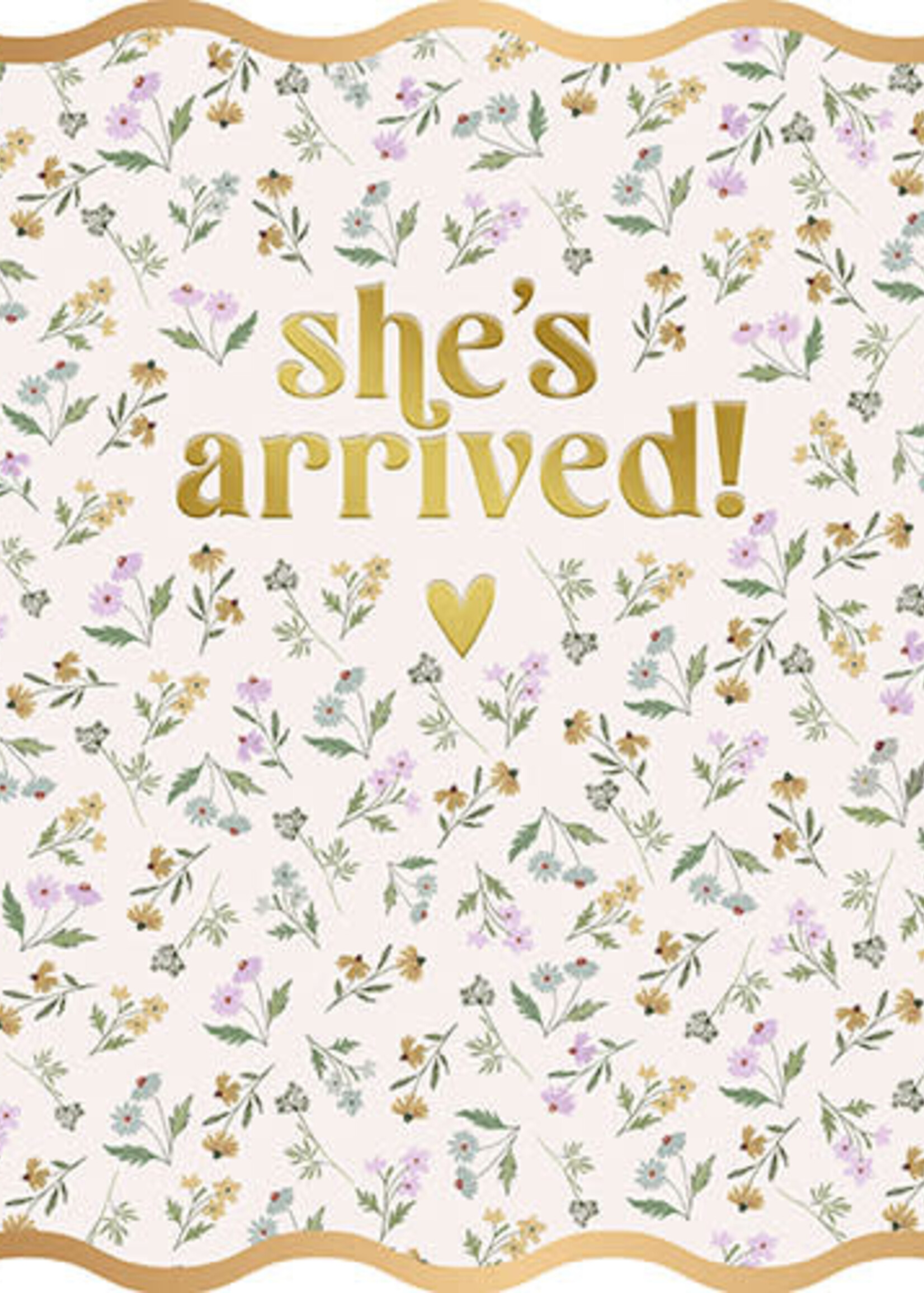 She's Arrived