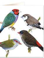 Finches