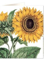 Miller Sunflower