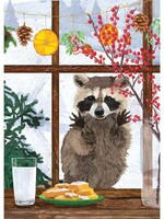 Window Raccoon