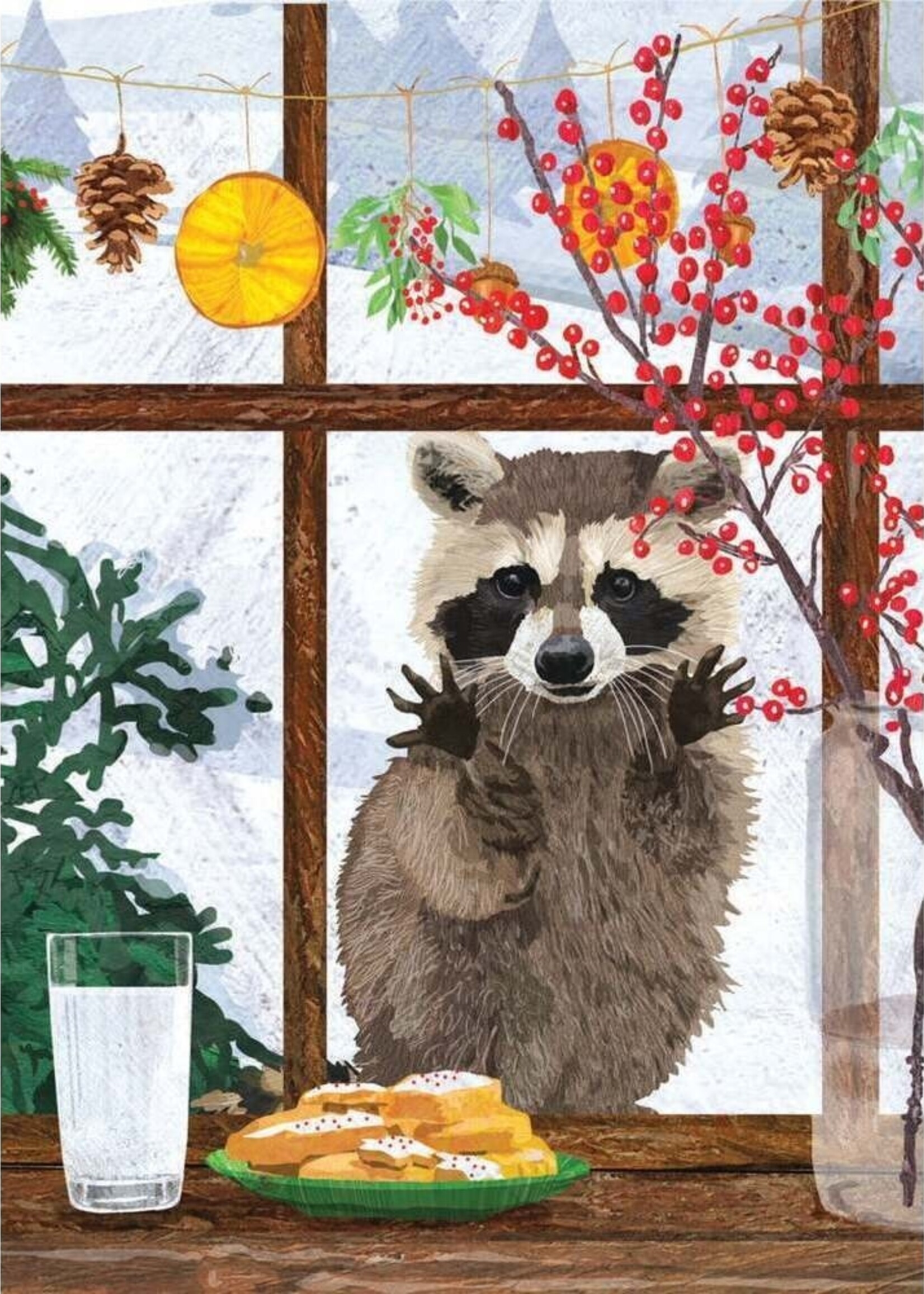 Window Raccoon