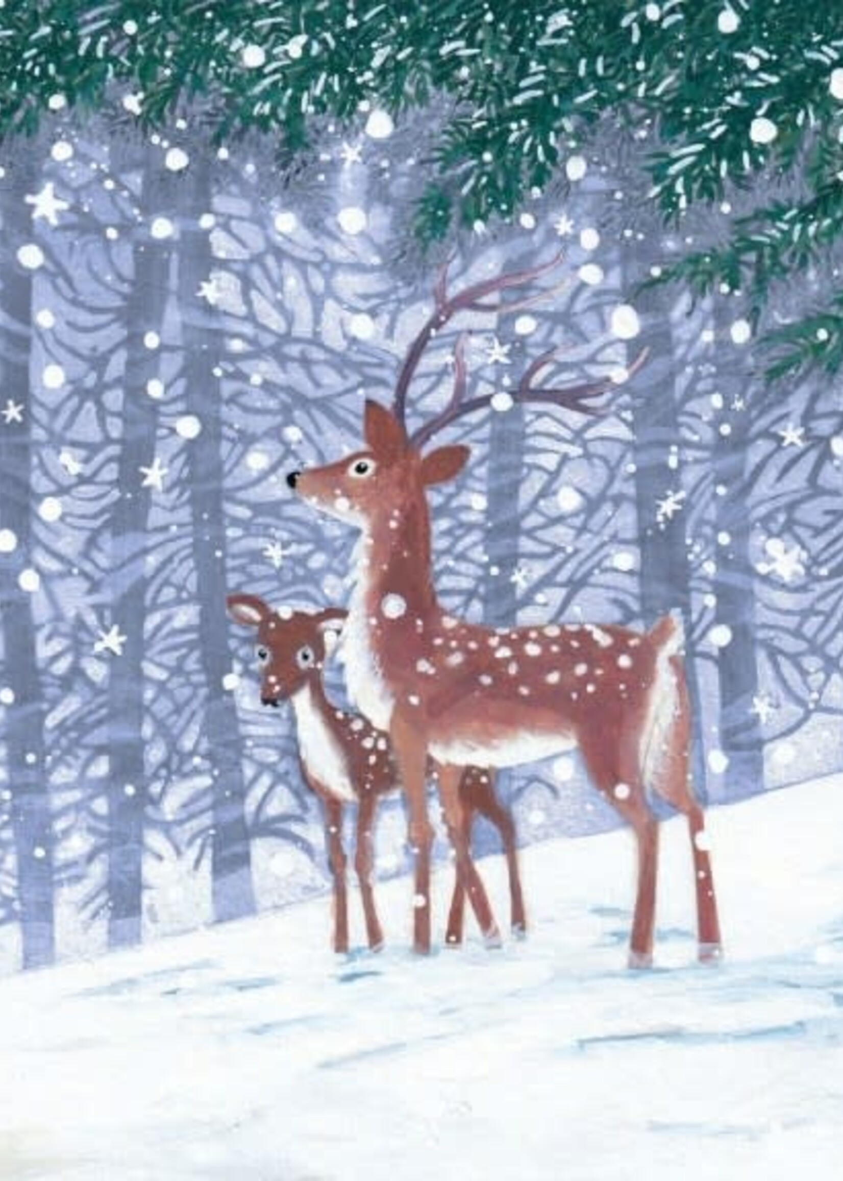 Boxed Holiday Cards - Morning Snow
