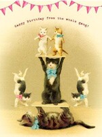 Happy Birthday From The Whole Gang