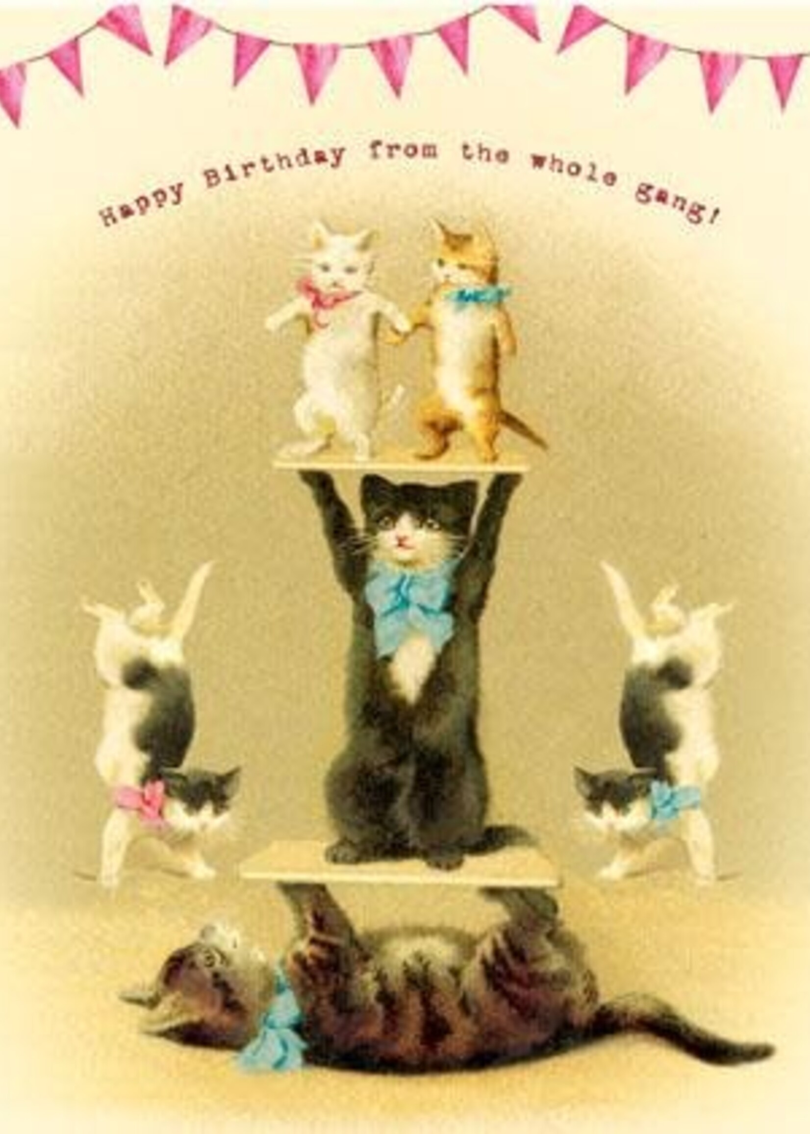 Happy Birthday From The Whole Gang