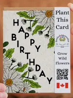 Seeded Memories - Birthday Daisy