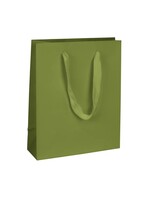 TVQ  Medium Gift Bag (Green)