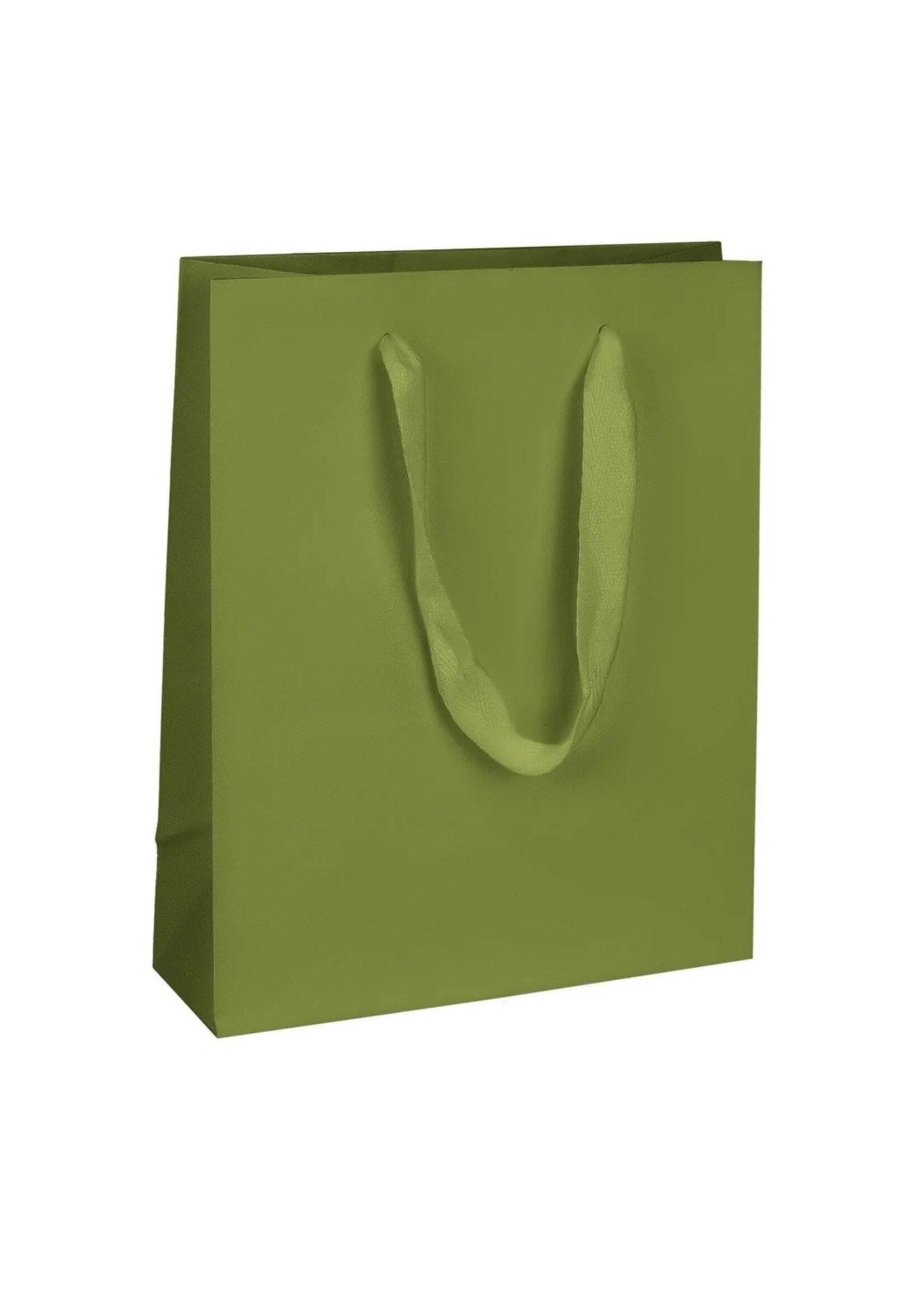 TVQ  Medium Gift Bag (Green)