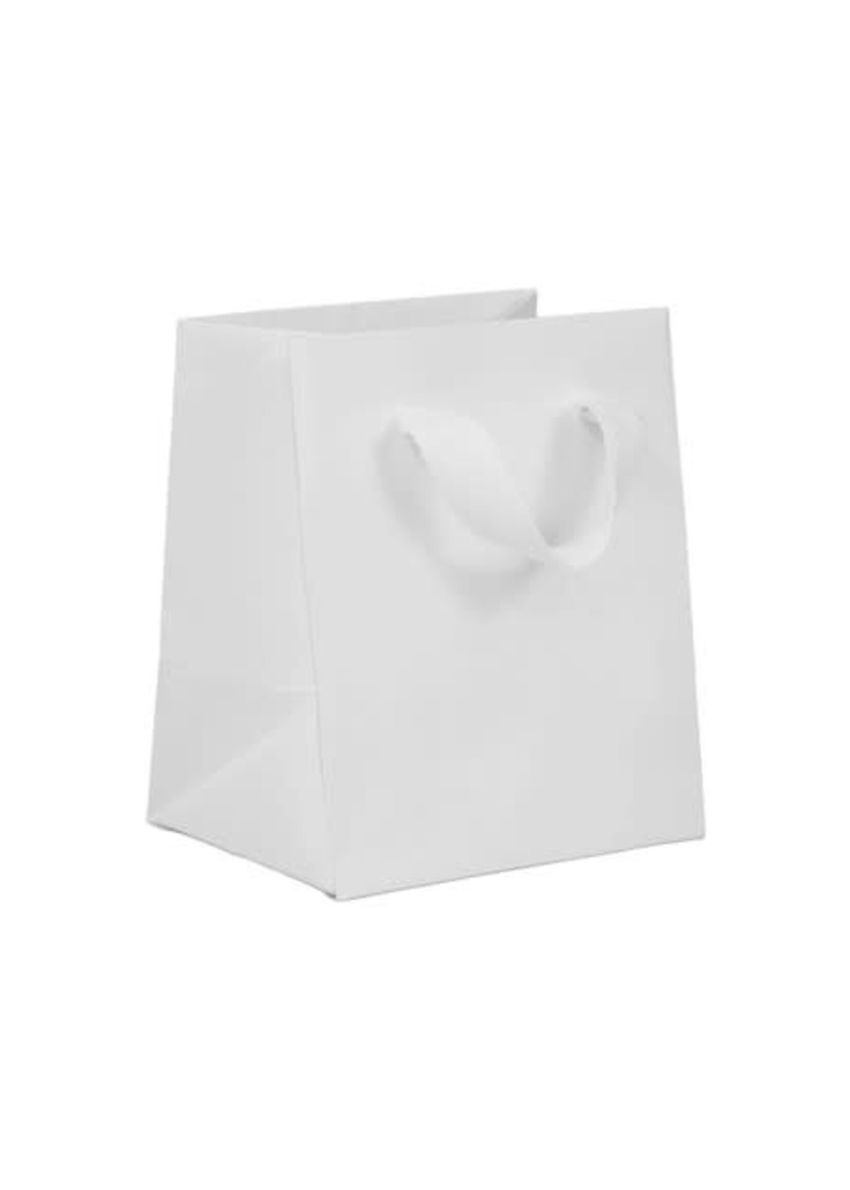 TVQ Small Gift Bag (White)