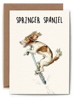 Springer Spaniel