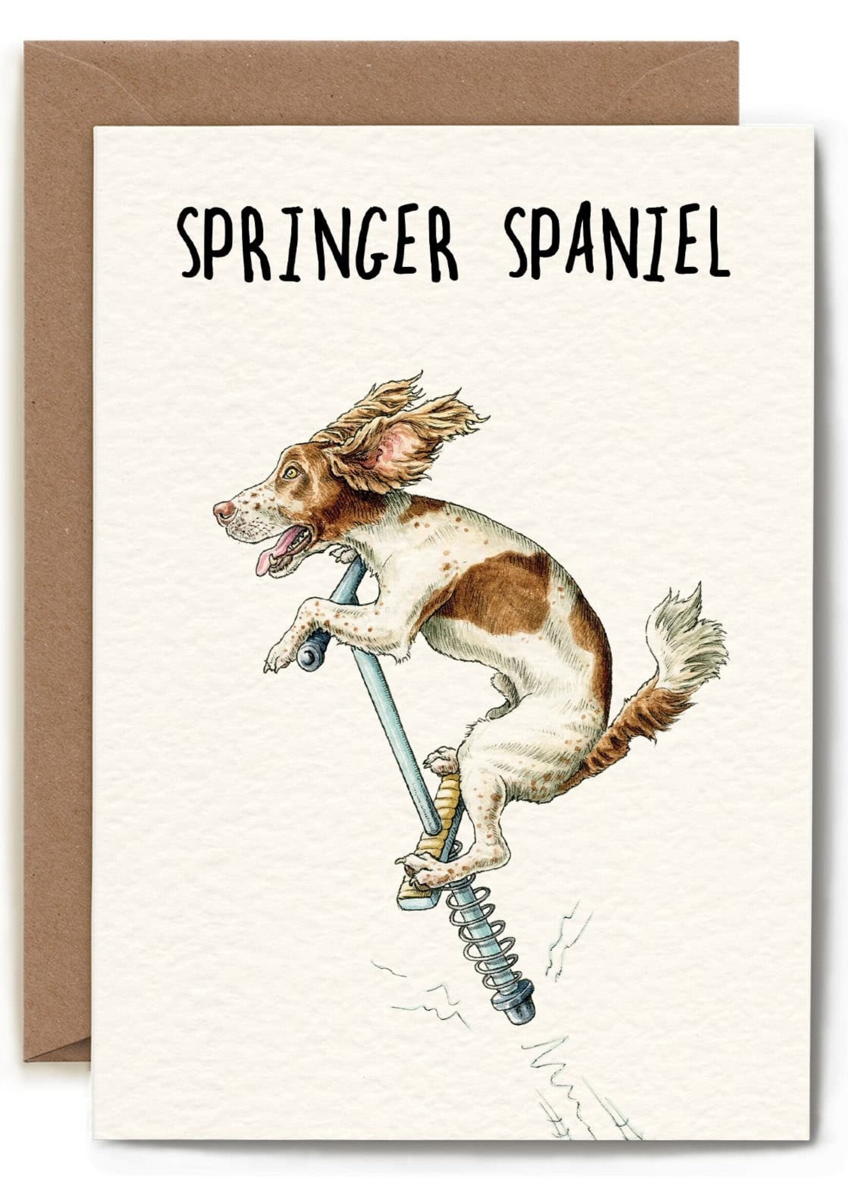 Springer Spaniel