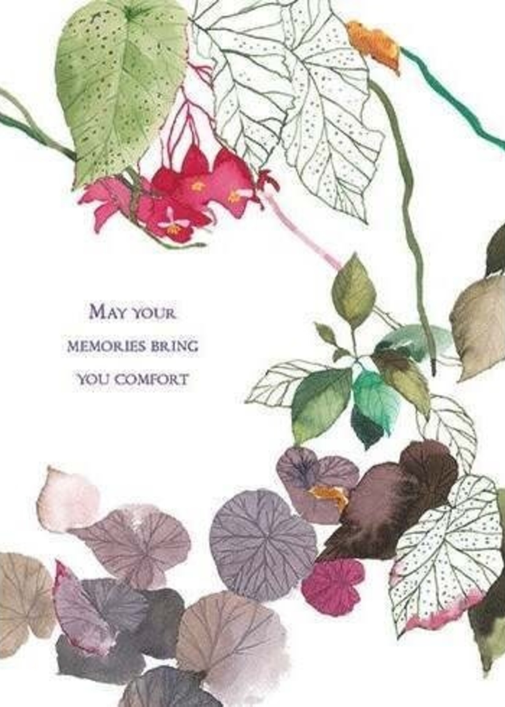 Kamtieng Bloom ~ Memories Comfort