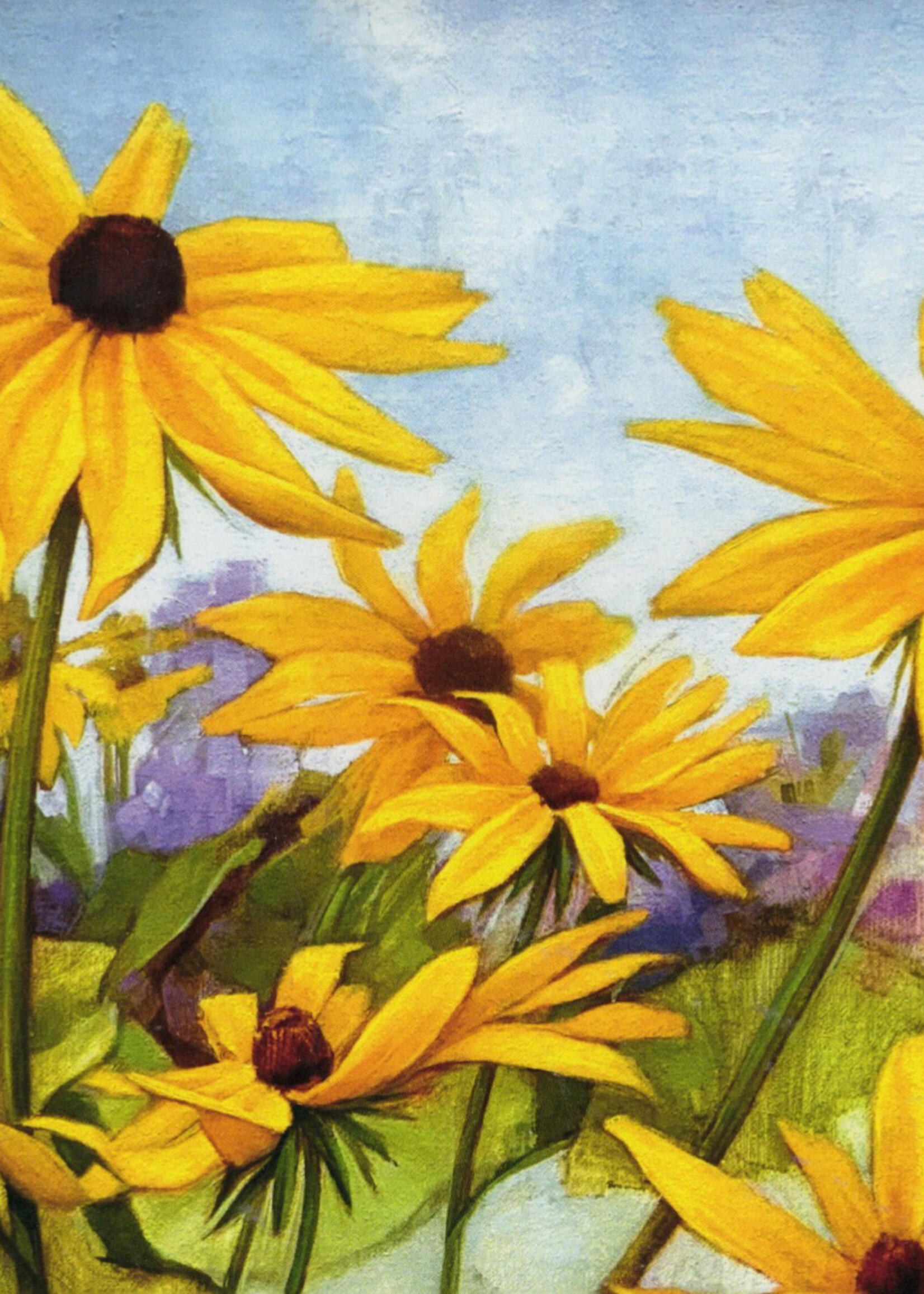 Black Eyed Susans Summertime!