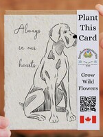 Seeded Memories - Always In Our Hearts