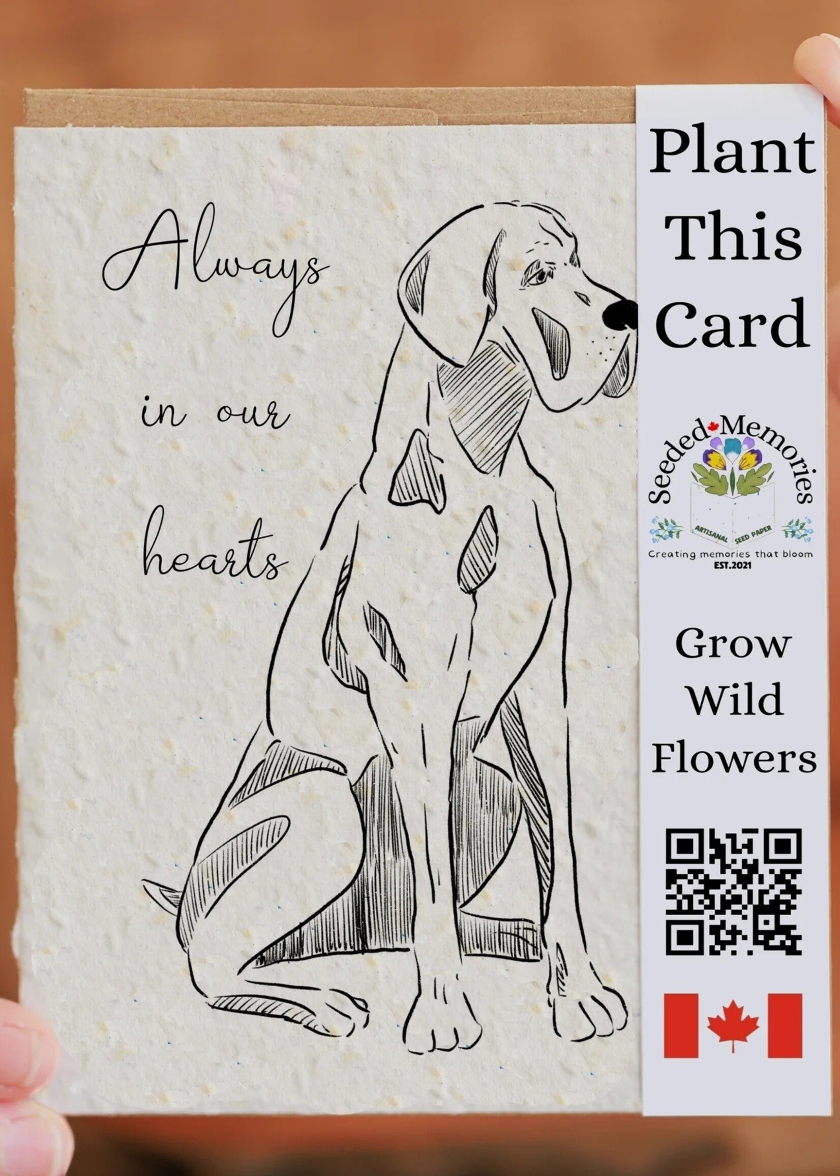 Seeded Memories - Always In Our Hearts