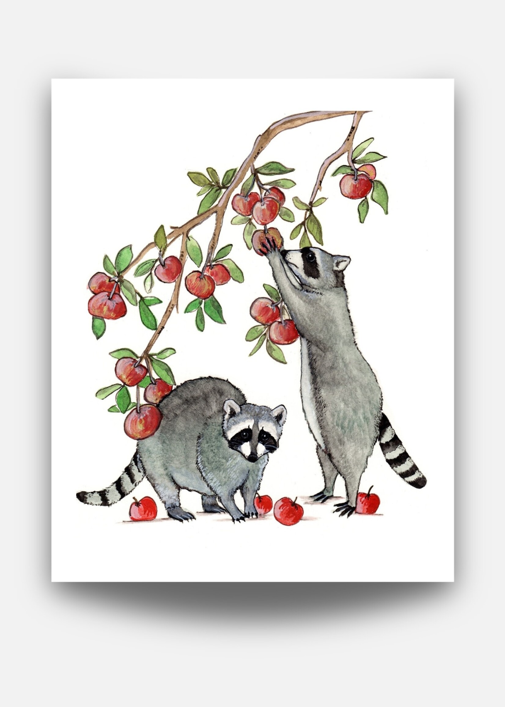 Sarah Duggan Creative Works Raccoons in the Orchard