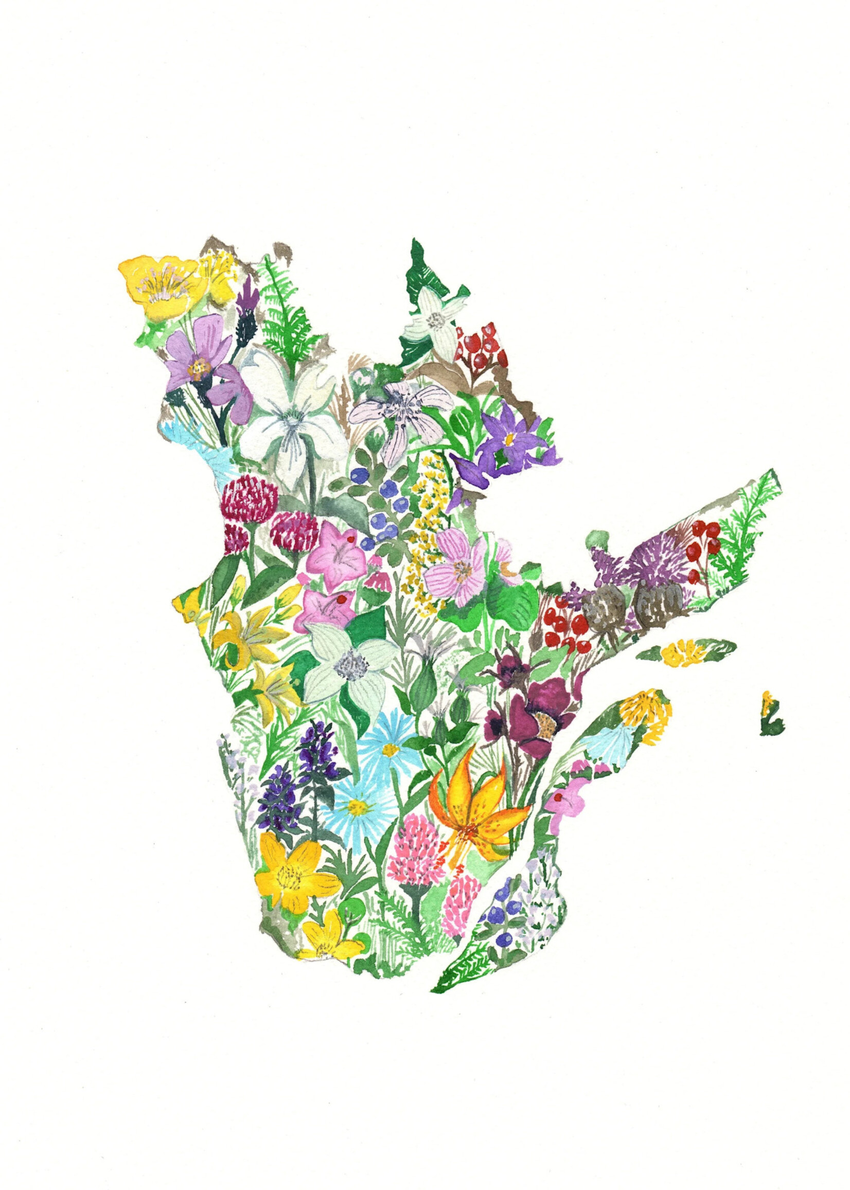 Sarah Duggan Creative Works Wildflower Prints