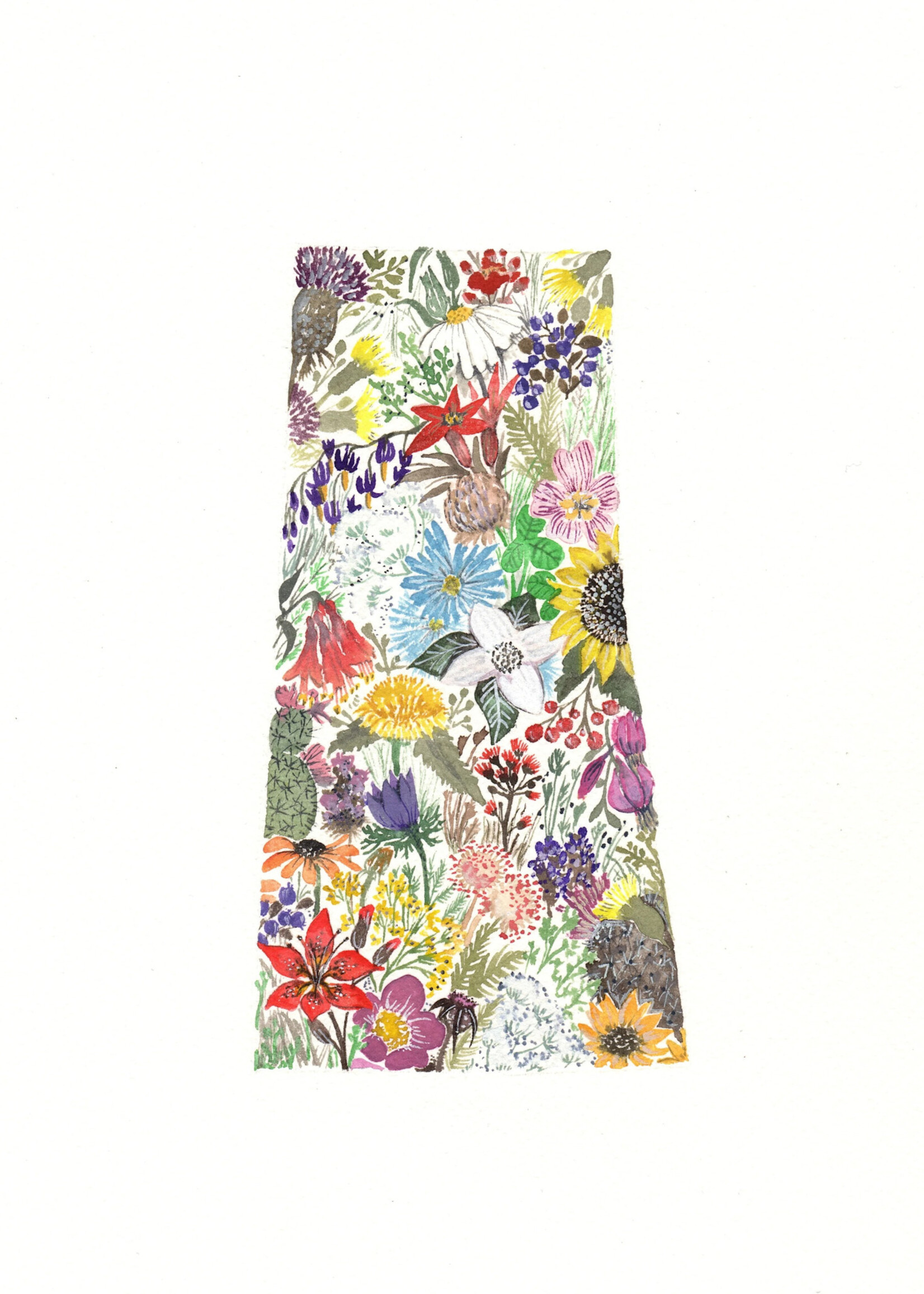 Sarah Duggan Creative Works Wildflower Prints